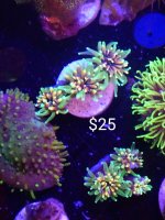 IMG_20210515_205930187~2.jpg