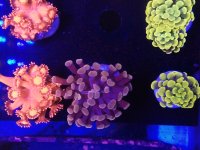 IMG_20210515_201001889.jpg