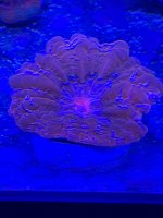 0E533858-E8F5-4F6C-BD32-E870CAD1BFB7.jpeg