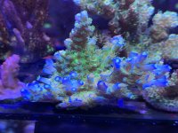 7BA50E12-BF79-4900-AA12-83D06204DD76.jpeg