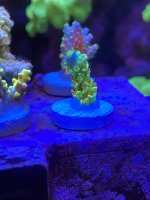 3D40E1D1-E692-4EBE-95E5-6F08DB3ADE07.jpeg