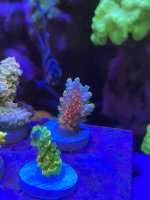 4C37DE5E-91EA-45B6-913E-41C04515173B.jpeg
