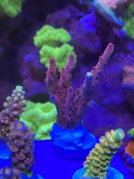 EAF04230-0985-4D2B-8CC3-81DC9DE7D6F9.jpeg