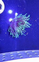 20210509_125249.jpg