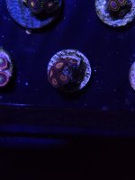 20210429_155735.jpg