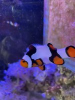 IMG_1993.JPG