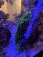IMG_2019.JPG
