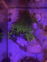 IMG_2021.JPG