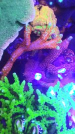 20210526_182102.jpg