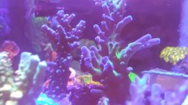 20210526_182256.jpg