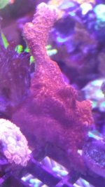20210526_185316.jpg