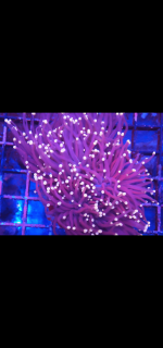 Screenshot_20210528-192732.png