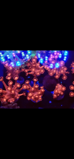 Screenshot_20210528-193141.png