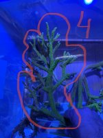 9F94CE2D-10D9-46BE-AD78-B515D4962E74.jpeg