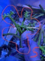 F22D7683-9AA0-4F97-89E1-4C8874D3AB93.jpeg