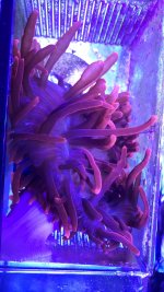 32D9E845-970E-4E07-B5F2-CCDE3EBB37A1.jpeg