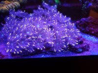 20210602_210705.jpg
