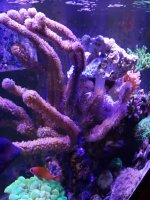 20210602_141612.jpg