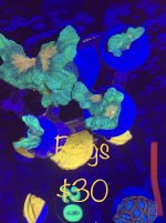 1A6101B5-6AFE-4709-80F9-2C9FD5766CC3.jpeg