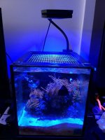 10G.jpg