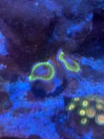 29D816C8-070A-4960-A115-BC5A5C58DF30.jpeg