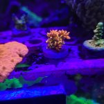 20210615_181133.jpg