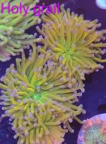 IMG_20210615_185153843~2.jpg IMG_20210615_185153843~2.jpg