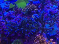 CF396D2A-D646-4D75-942D-B6588DB56628.jpeg