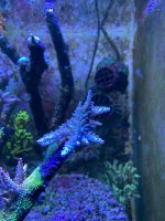 E87B1149-FC59-441C-91BF-FF47422F97EE.jpeg