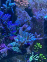 4569C97B-CB78-4AF8-96D1-CF1BA8D17407.jpeg