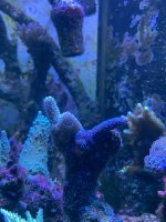 46888B65-593D-455C-B205-4C718606AD34.jpeg