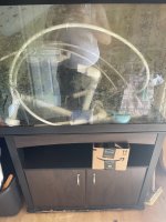 IMG_0388.jpeg