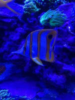 E39A9C61-C1C8-46AB-8429-AA0D59074B34.jpeg