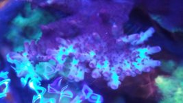 20210621_125814.jpg