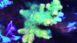 20210621_125806.jpg