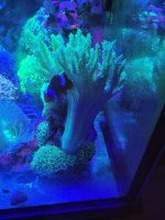 20210623_164639.jpg