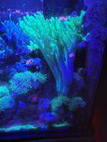 20210623_164628.jpg