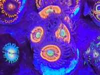 20210619_152841.jpg