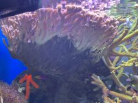 C9524C67-331D-4781-870C-BC7E1746B5CE.jpeg