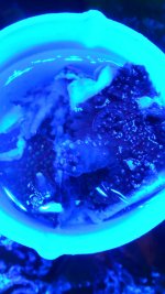 20210624_183318.jpg