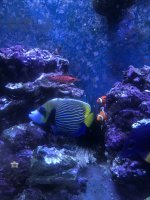 2C014E94-ED62-47EE-AF9C-15778D75A2F8.jpeg