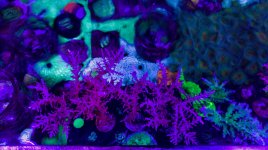 20210626_111630-01.jpeg
