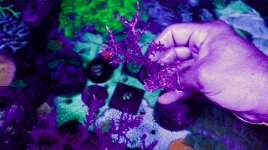 20210626_111840-01.jpeg
