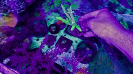 20210626_112453-01.jpeg