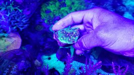 20210626_112142.jpg