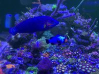 851F2FEB-DB95-414E-8C00-226A3981AC0B.jpeg