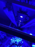 6AF383D5-08E7-424C-91F0-0E0E784EF693.jpeg