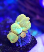 B403B9B4-25BC-456F-9A36-5280C7F79A28.jpeg