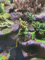 C1F06607-0FD3-4CF8-BDF5-898E15134751.jpeg