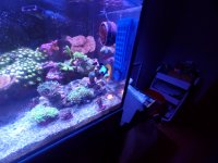 20210717_185727.jpg